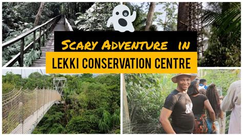 The Most Scary Canopy Walkways In Africa - LEKKI CONSERVATION CENTRE | LandProperty.NG