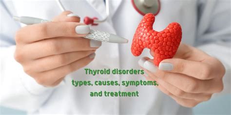 Thyroid disorders types,causes,symptoms,and treatment | Welltopia Pharmacy