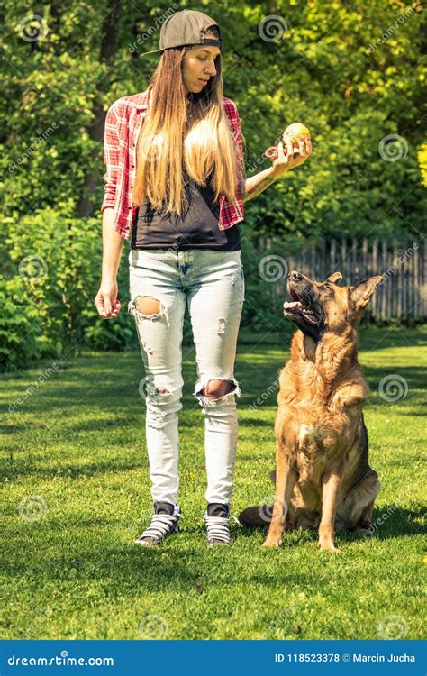 German Shepherd Obedience Training Session in Garden Stock Photo ...