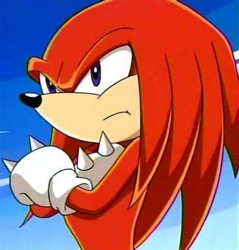 Knuckles The Echidna