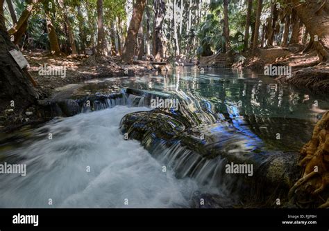 Mataranka Hot Springs, Northern Territory, Australia Stock Photo ...