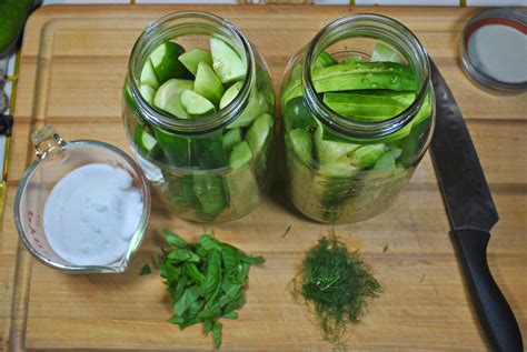 FERMENTED CUCUMBER PICKLE RECIPE | The Good Old Way