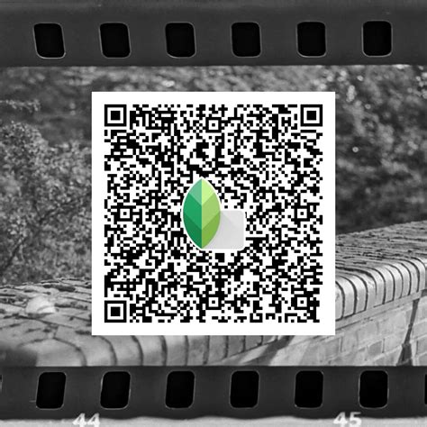 Top 10 Snapseed QR Codes and Presets - News and Media Hub