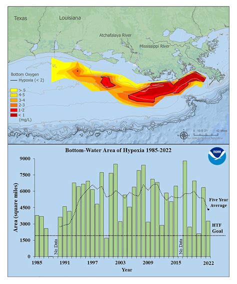 Smaller than Expected Summer 2022 ‘Dead Zone’ Measured in Gulf of ...