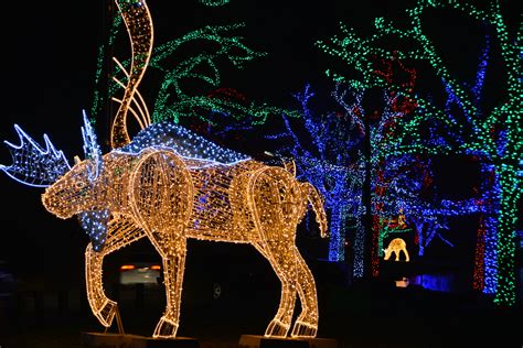 Niagara's Winter Festival of Lights! | Frenzy Tours