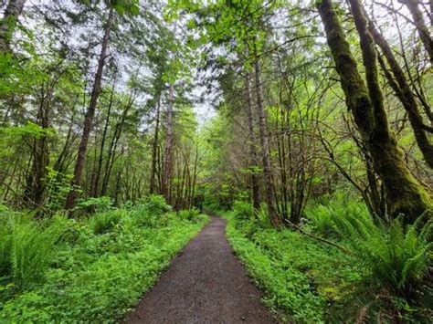 2023 Best 10 Trails and Hikes in Olympia | AllTrails