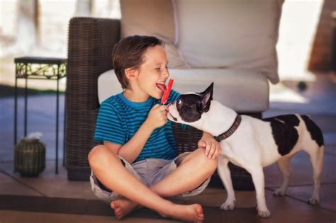 Cute Photos of Kids and Dogs | POPSUGAR Family Photo 62