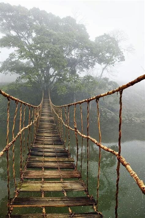 Amazing old rope bridge in the jungle forest natural materials design | School | Pinterest ...