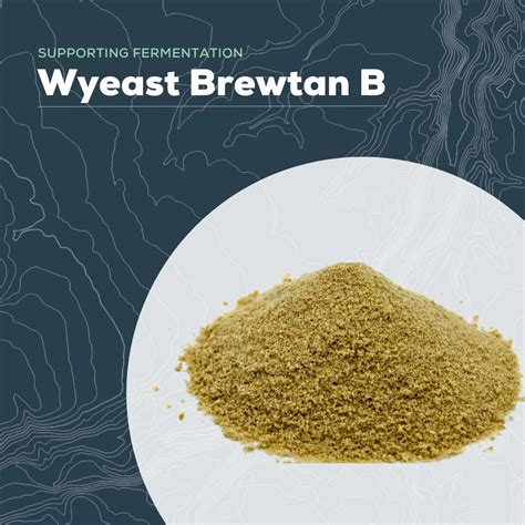 Wyeast Laboratories Inc on LinkedIn: Wyeast Brewtan B (formerly called ...