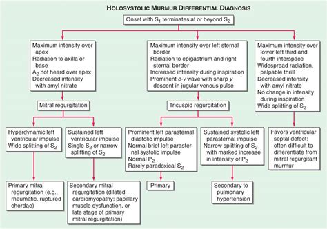 grijuliu crainic biografie holosystolic apical murmur that radiates to ...