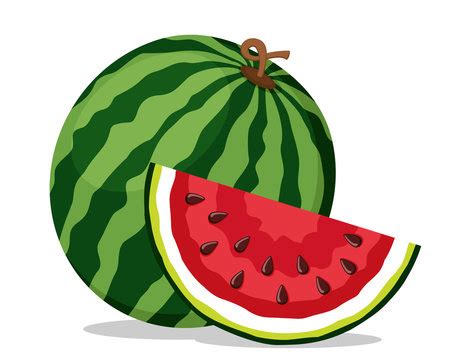 40,059 BEST Watermelon Cartoon IMAGES, STOCK PHOTOS & VECTORS | Adobe Stock