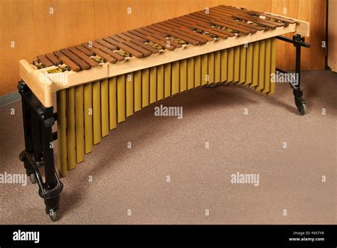 Idiophone Percussion Instrument High Resolution Stock Photography and ...