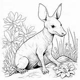 Premium Photo  Aardvark coloring Hand Drawn cute Book Kawaii sketch template