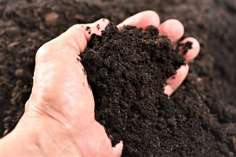 Soil organic matter - The key to healthy soil | Cropaia