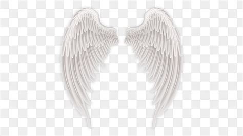 No Wings PNG Transparent Images Free Download | Vector Files | Pngtree