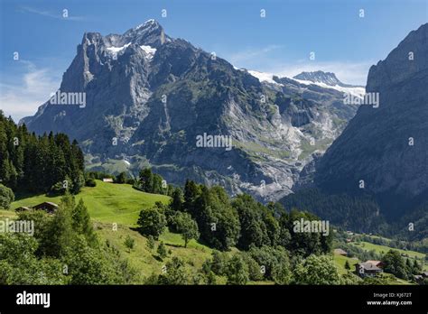 Wetterhorn from Grindelwald-First, Switzerland Stock Photo - Alamy