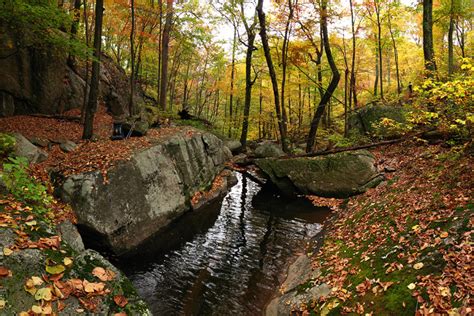 A Backpacker's Life: The Shenandoah Valley, Part One - Numbers 13 and 96 on my life list.