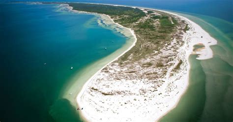 Sanibel Shelling to Cape San Blas Scalloping: Find Your Treasure