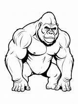 20  Free Printable Gorilla Coloring Pages For Kids sketch template