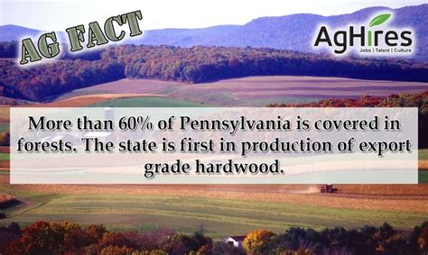 6 Pennsylvania Ag Facts