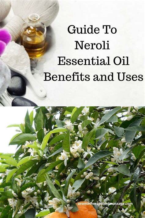 Neroli Essential Oil Benefits and Uses In Aromatherapy