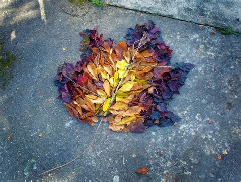 Andy Goldsworthy’s Land Art Photography - IGNANT