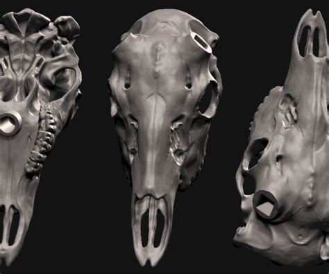 ArtStation - Deer skull with stand 3D print model | Resources