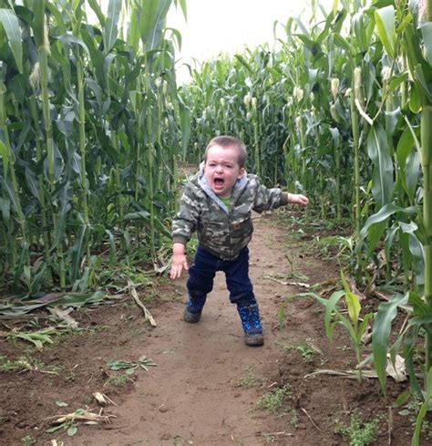 Corn Maze Kid Blank Template - Imgflip