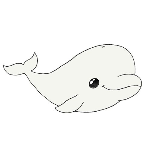 Beluga Whale Drawing