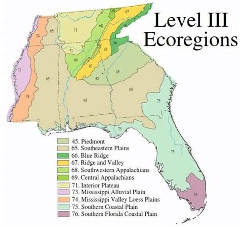 Ecoregions of Alabama, Florida, Georgia, Mississippi, and Tennessee... | Download Scientific Diagram