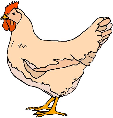 Poultry clipart 20 free Cliparts | Download images on Clipground 2024