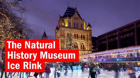 Natural History Museum Ice Rink Reviews & Family Deals