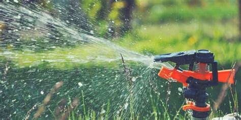 Motion Sensor Sprinkler | Top 10 In 2023