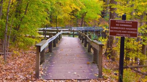 2021 Maybury State Park & Playground in Northville - Visitor's Guide