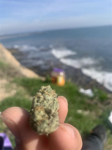 Cali Views : r/weed