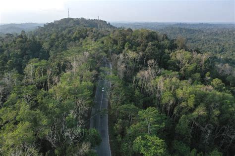 Ketersediaan Air di Ibukota Baru Jadi Sorotan