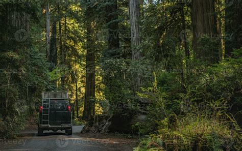 Camper Van Road Trip to the California Redwoods 24520036 Stock Photo at Vecteezy