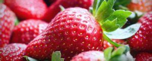 How and When to Harvest Strawberries? — 6 Tips (that Work)