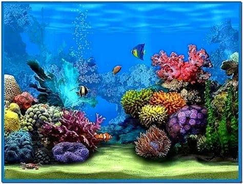 Living Marine Aquarium 2 Screensaver Mac - Download-Screensavers.biz