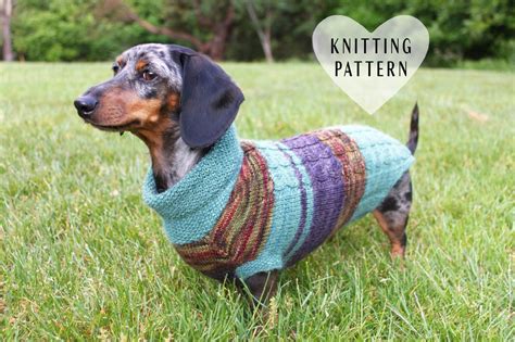 KNITTING PATTERN, Scrap Yarn, Cowl Neck, Mini Dachshund, dog sweater ...