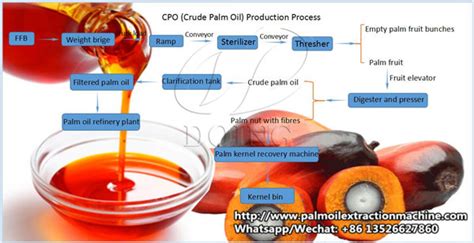 Manufacture Palm oil production process,Low cost price for sale_Palm oil press process flow ...