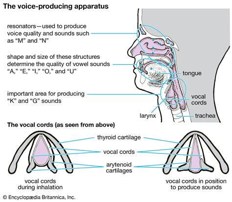 Vocal music | Definition, History, Characteristics, Types, & Facts ...