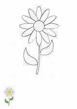 Free Daisy Flower Coloring Page Template To Edit Online sketch template