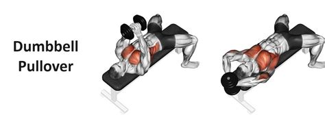 Dumbbell Pullover: A Comprehensive Guide to Technique, Benefits, and Alternatives for Upper Body ...