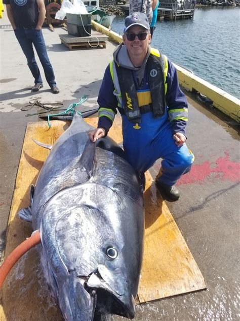 These guys caught a 922-pound tuna. Not bad for first-timers | CBC News