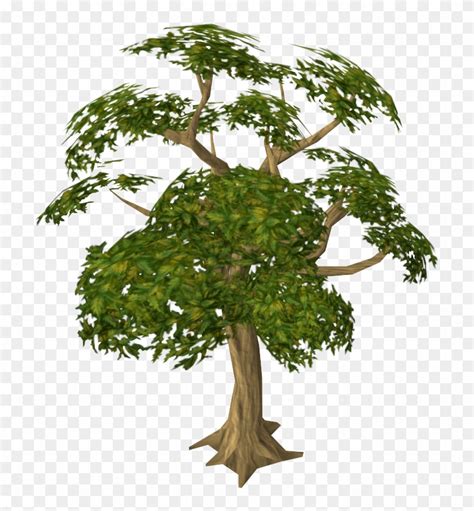 Mahogany Runescape Wiki Fandom Powered By Wikia - Mahogany Tree - Free Transparent PNG Clipart ...