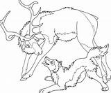 Elk Coloring Page sketch template
