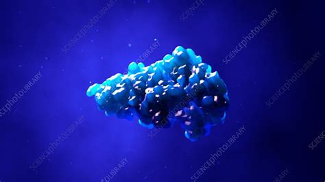 Enzyme molecular structure, animation - Stock Video Clip - K009/1430 - Science Photo Library