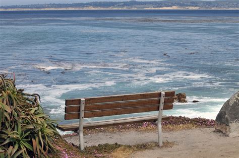 Bench At The Bay Free Stock Photo - Public Domain Pictures