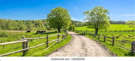 9+ Million Countryside Royalty-Free Images, Stock Photos & Pictures | Shutterstock